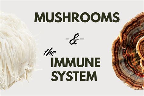 The Surprising Connection Between Mushroom Magic Baths and Sleep
